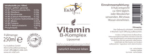 Liposomal vitamin B complex